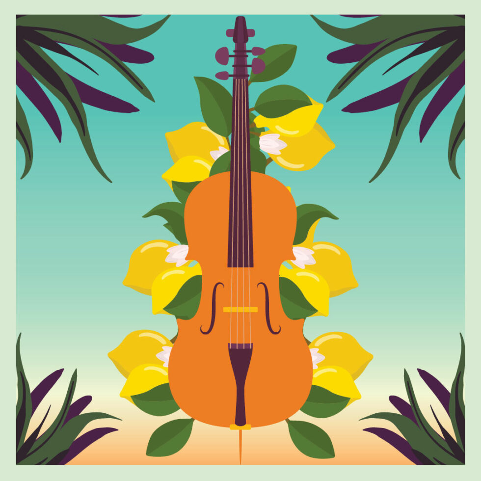 Un violoncelle, illustration du concert voce di u violoncello