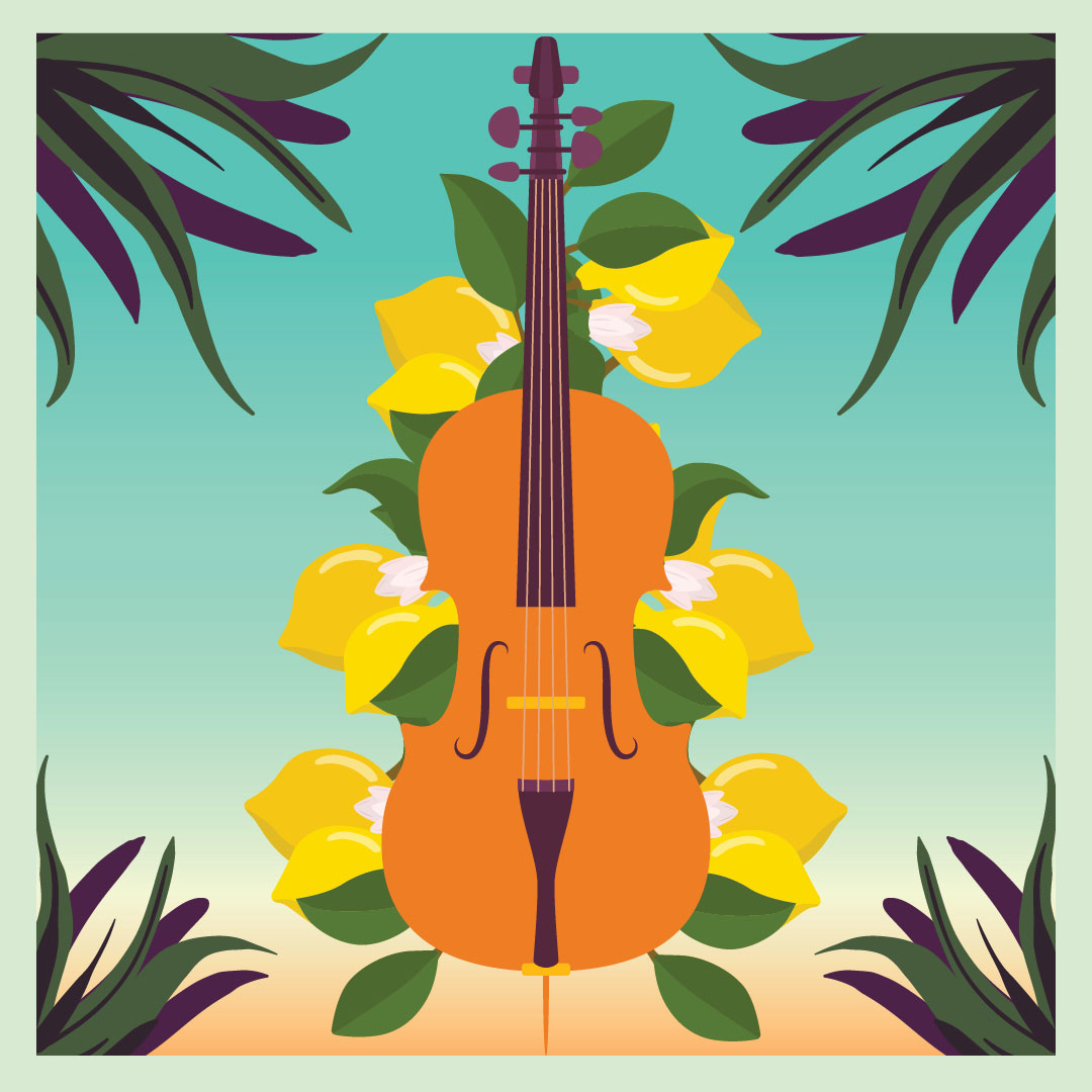 Un violoncelle, illustration du concert voce di u violoncello